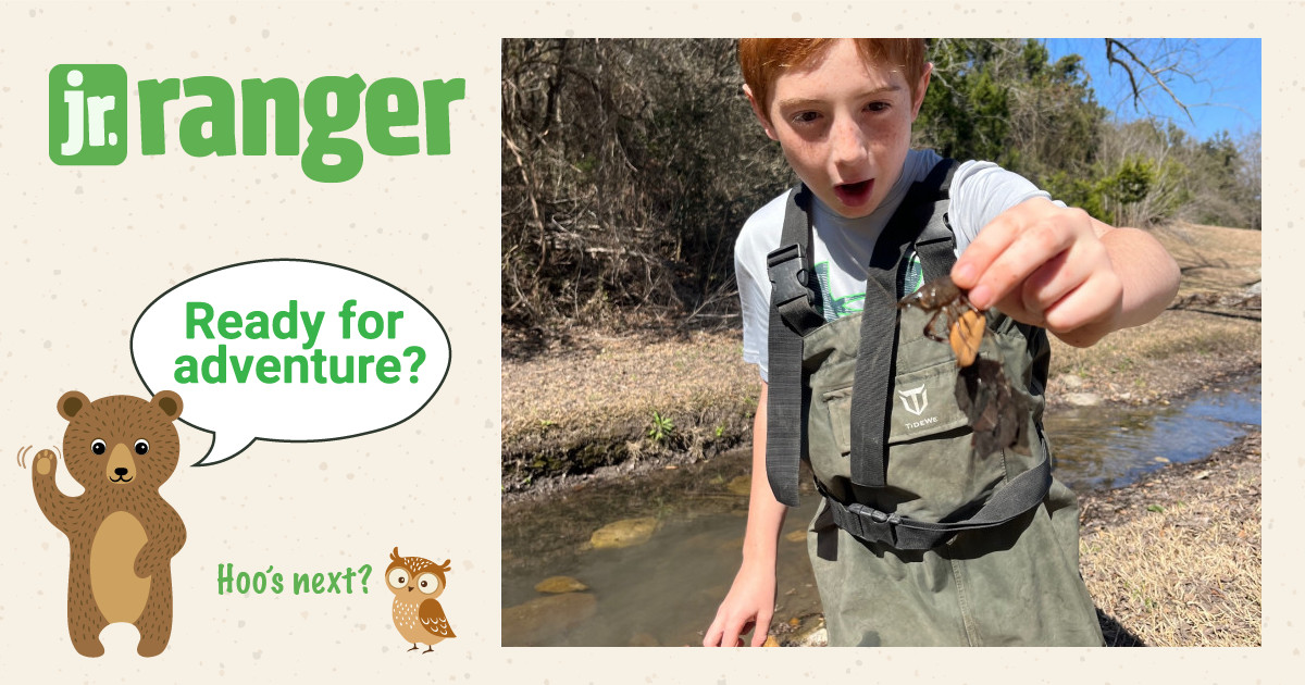 Cal | Junior Ranger