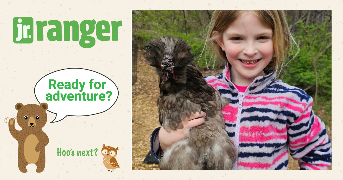 Sydney | Junior Ranger