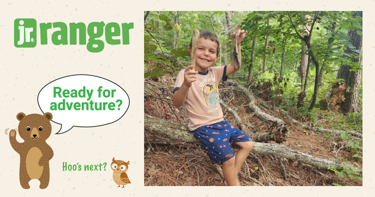 Kids Bush Ranger Forrest | Junior Ranger
