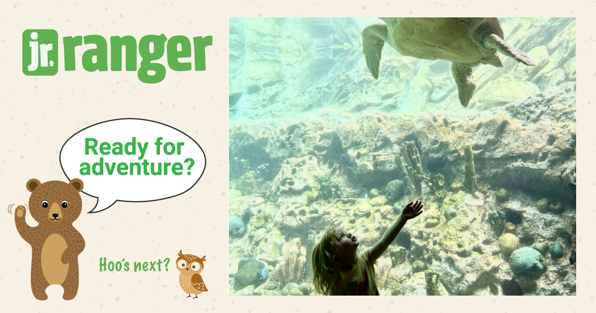Ayla | Junior Ranger