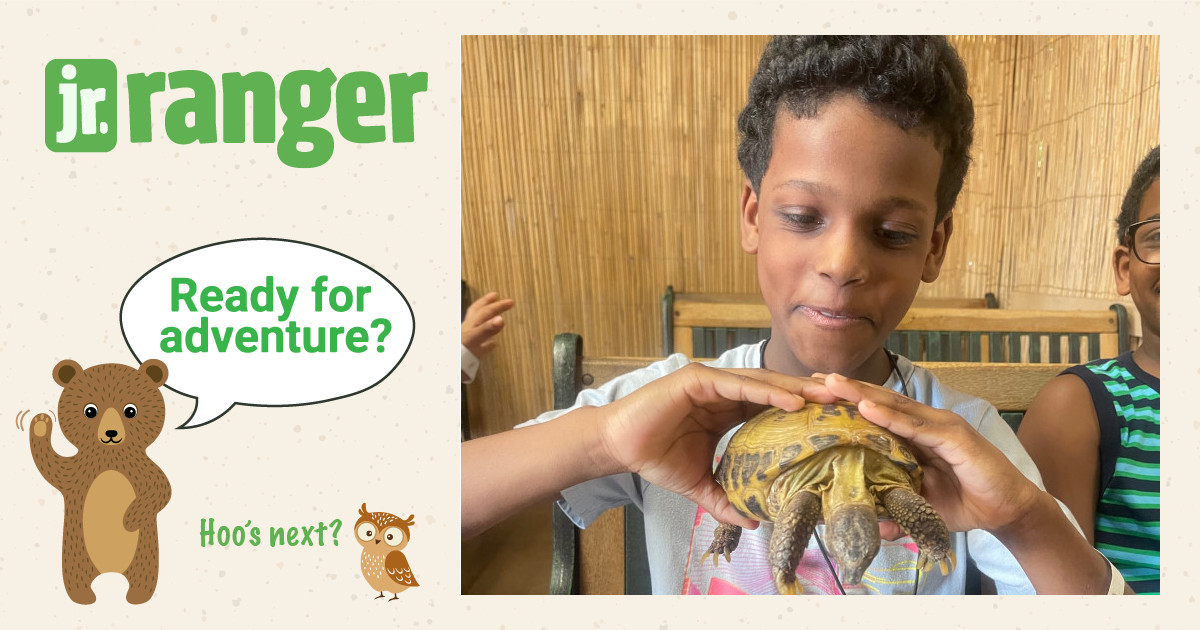 Jolene Samuels Rohan Ranger Rohan | Junior Ranger