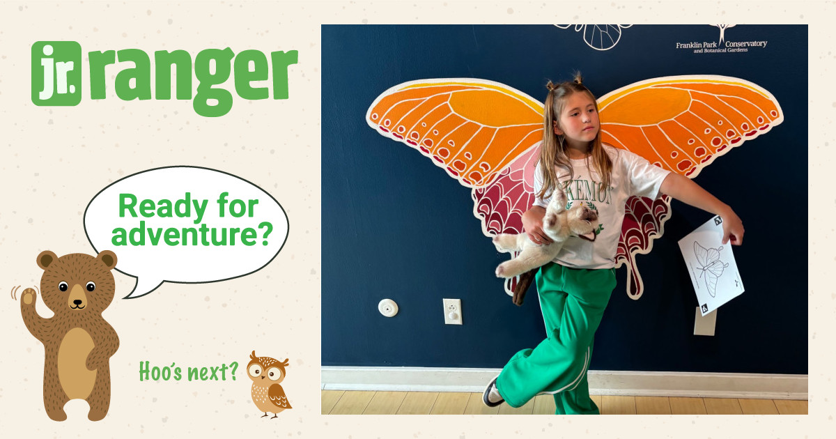 Rune | Junior Ranger