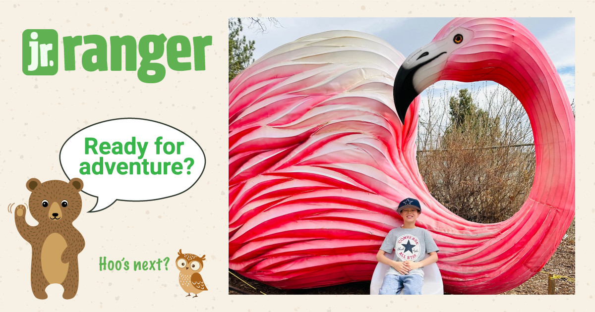 Jedi | Junior Ranger